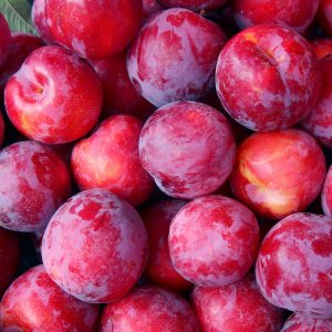 Ebony Treat Plums Australia (500G)