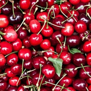 CHERRY USA 5KG